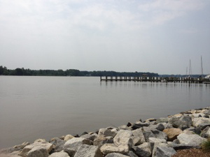 20130614-101301.jpg