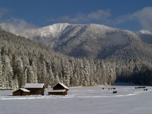 http://www.dreamstime.com/-image7529684