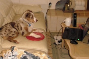 Sedona, reading my email for me