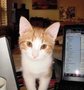 William (aka Billy) helping with email