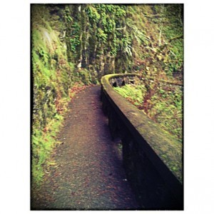 399358_10151204025373668_1615886462_n