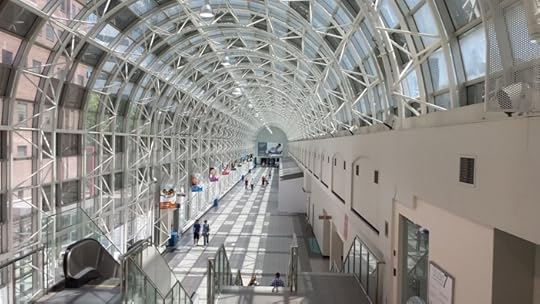 photo, image, skywalk, toronto