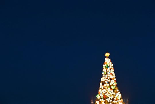 Christmas tree in the blue moment
