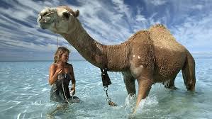 Robyn Davidson (theaustralian.com.au)