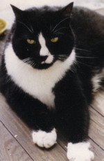 Sam