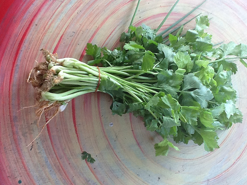 Thai celery
