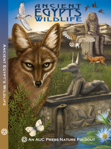 COVER Ancient