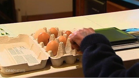 eggs