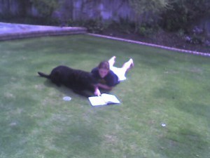 dogs
