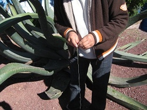 Picture