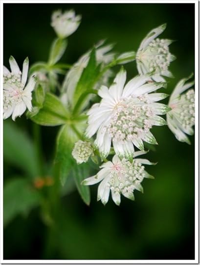 5 July 1 03-07-2013 11-39-21