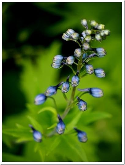 5 July 3 03-07-2013 11-39-18