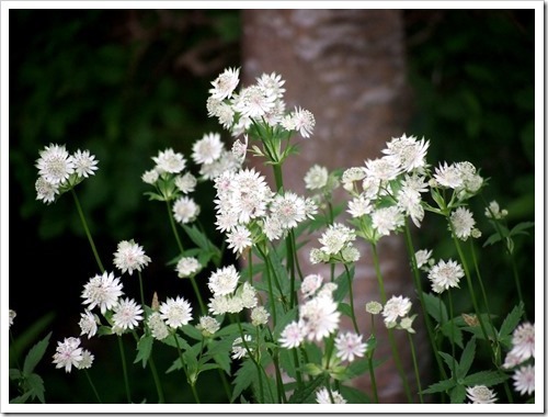 5 July 6 03-07-2013 11-40-20