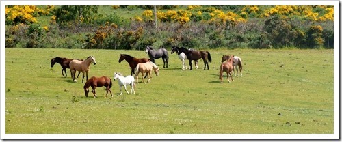 5 July 8 05-07-2013 10-23-35