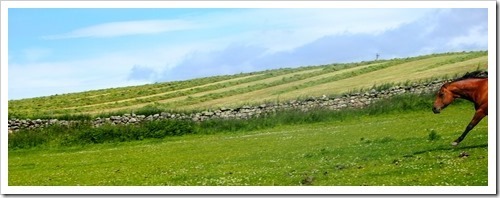 5 July 9 05-07-2013 10-25-41