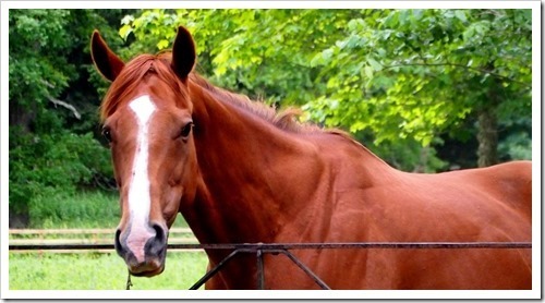 5 July 10 02-07-2013 13-29-48