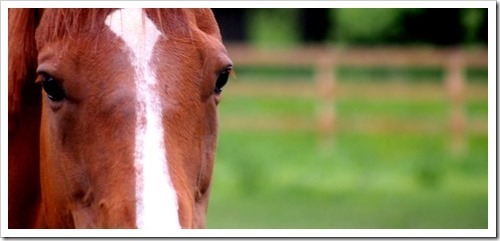 5 July 10 26-06-2013 09-36-50