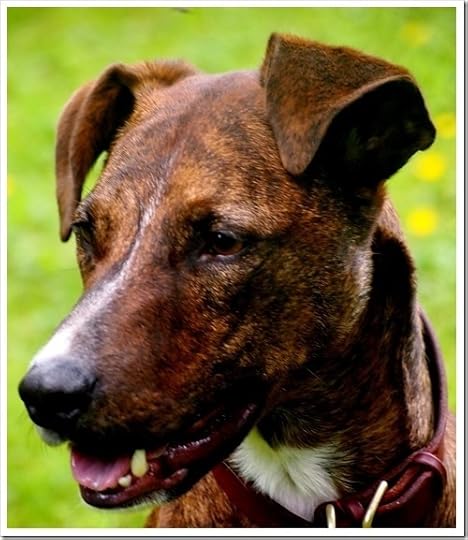 5 July 11 03-07-2013 11-40-45