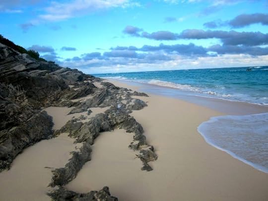 photo, image, beach , bermuda