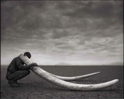 Nick Brandt Ranger with Tusks Amboseli 2011. Courtesy Source Photographica.