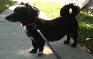 Riley handsome