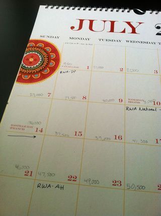 Photo(14)