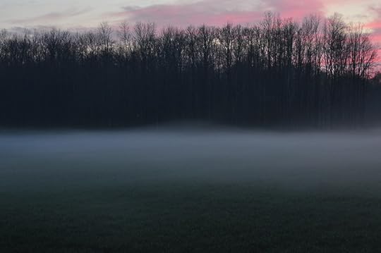 DSC_0725