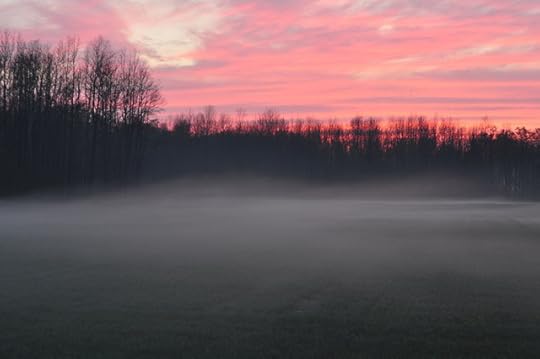 DSC_0719
