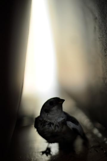 DSC_1091