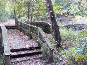 Bridge and Boggy Pool