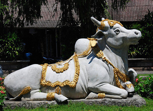 Photo by Austronesian Expeditions @ flickr
