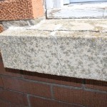 2012_window02