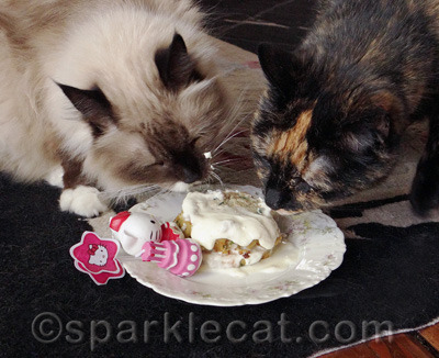 It is okay to make a mess! My human will be HAPPY to clean up