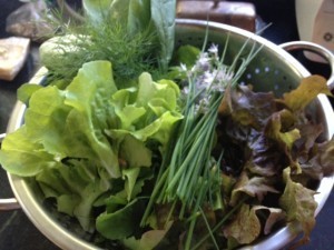 salad