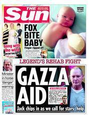 The_Sun_foxbaby
