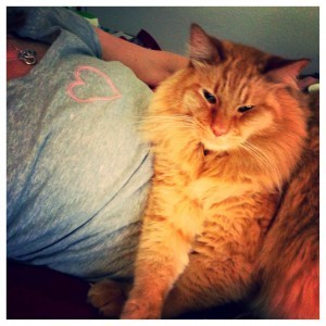 Aslan