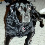 maddie - 10