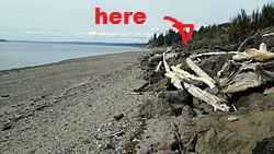 The Purdy Spit