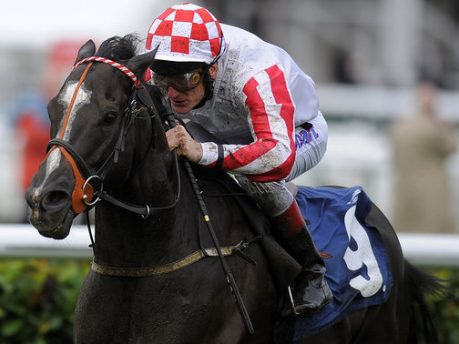 Johnny Murtagh: Will ride Novellist at Ascot