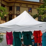 2012_06_BridgeFest2012_WL_16