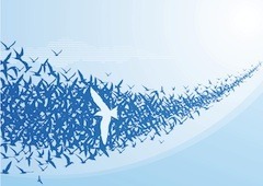Blue tone illustration flock of birds, 1 white bird flying other direction