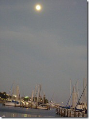 P1010904 (600x800)