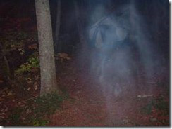 ghost2