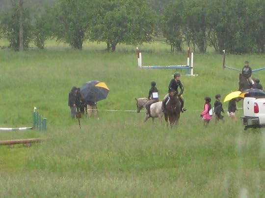 Meadowvale Radical Jumper (1)