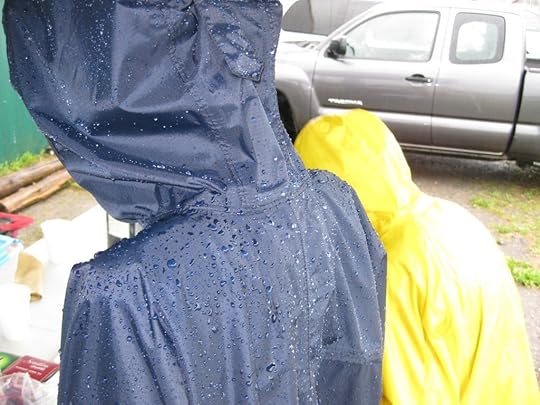 Meadowvale Radical Jumper (3)