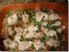 Chicken Stew1