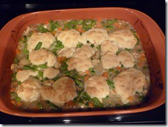 Chicken Stew2