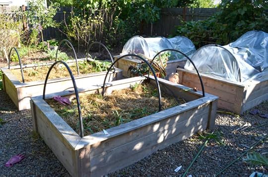 winter-beds