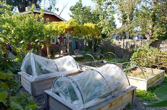 winter-garden-prepped