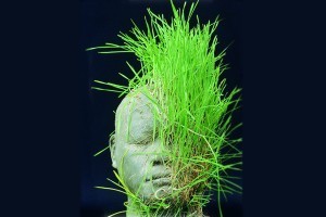 luminato_2013_literarypicnic_photo_by_chen_yung-hsien_event